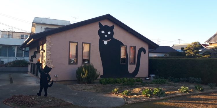 カフェ猫の散歩道で己書