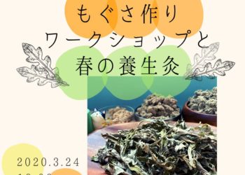 免疫力UP『もぐさ作り＆春の養生』。