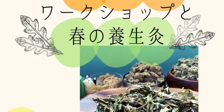 免疫力UP『もぐさ作り＆春の養生』。