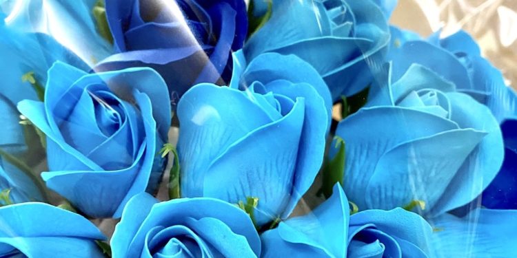 いちまる鍼灸院カラーのお花。