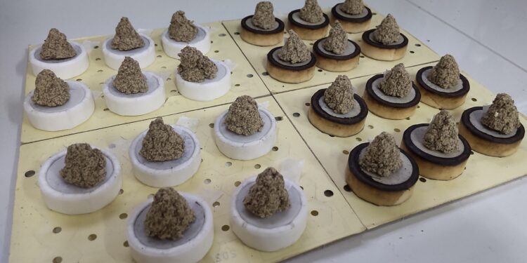 温灸『リャン』でリラックス🍀